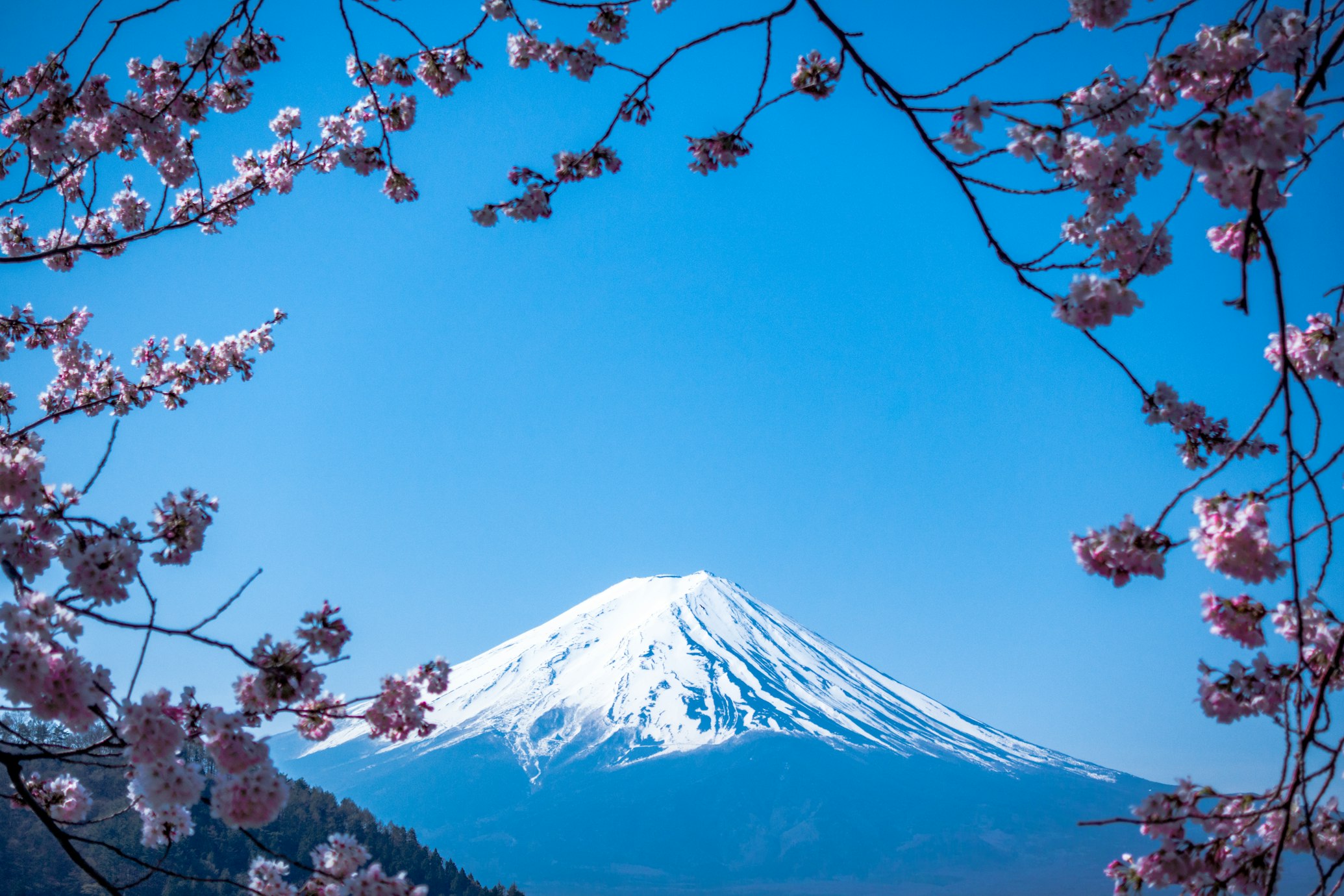 Mount Fuji Background